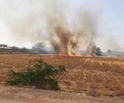 ۱۰ هکتار از مزارع کشاورزان ایوانی طعمه آتش شد