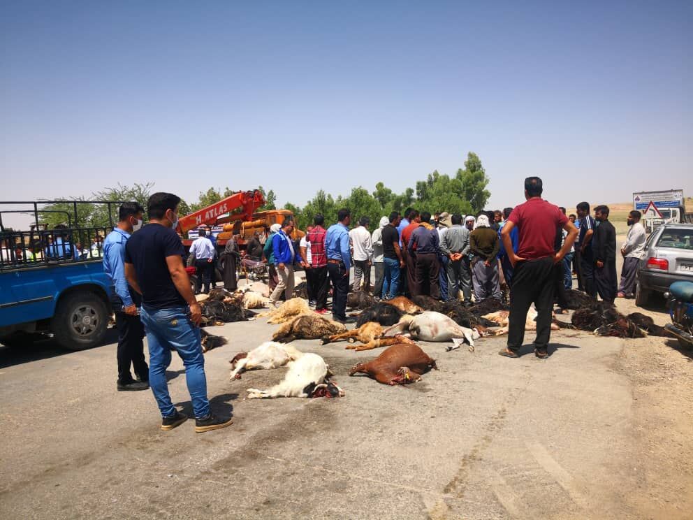 درخواست محیط زیست خوزستان برای توقف فعالیت پتروشیمی مسجدسلیمان