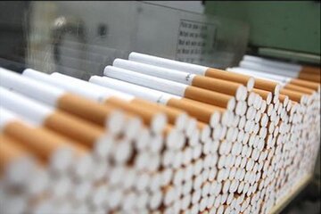جریمه هفت میلیارد ریالی قاچاقچی دخانیات در همدان