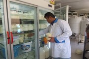 کارگاه تولید "شیر تقلبی" در مهاباد پلمب شد
