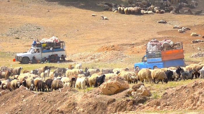 عشایر استان اردبیل ۱۰ روز برای خروج از ییلاق‌ و کوچ پاییزه فرصت دارند