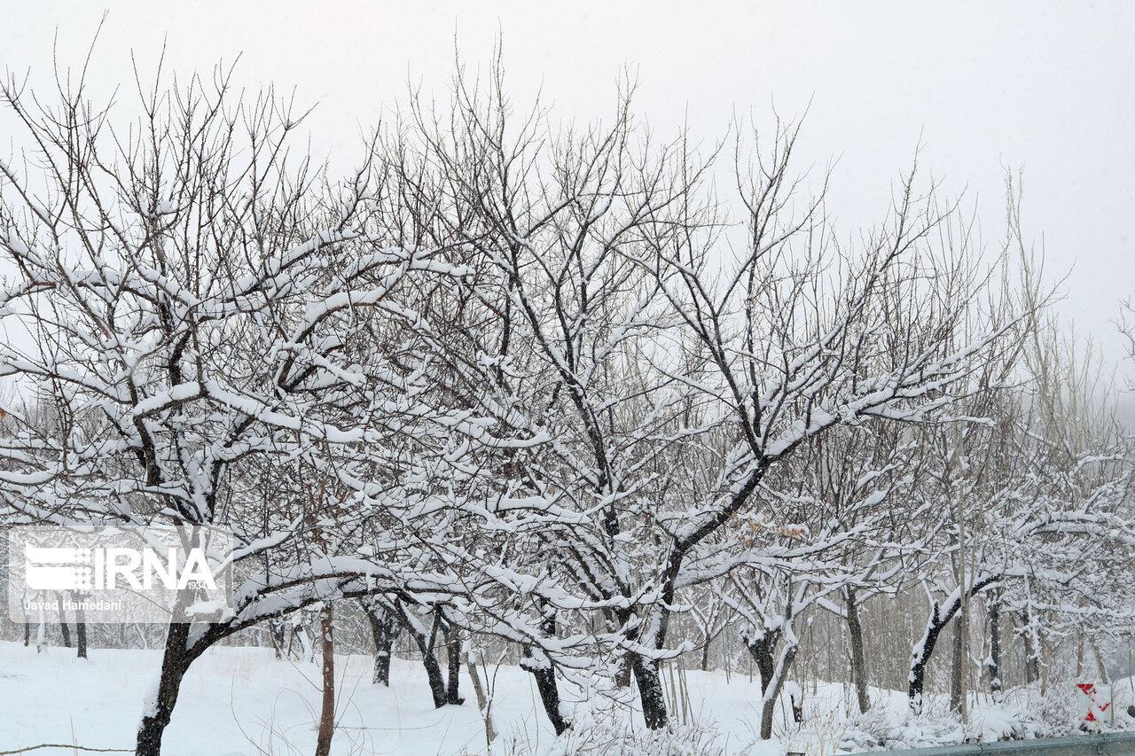 موج سنگین بارش برف از شنبه وارد آذربایجان‌غربی می شود