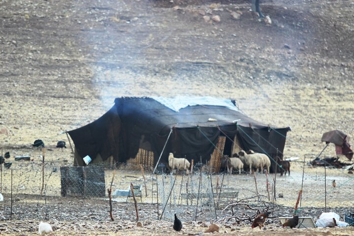 هزار خانوار عشایر کوچرو در مناطق قشلاقی دهلران مستقر می‌شوند