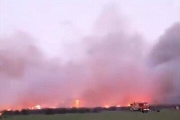 پنج هکتار از اراضی پارک ملی بوجاق در آتش سوخت