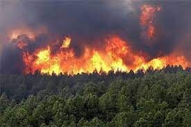 آتش سوزی کوه نارک گچساران همچنان ادامه دارد