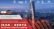 ستاری در راس یک هیات تجاری دانش‌بنیان به کنیا می‌رود