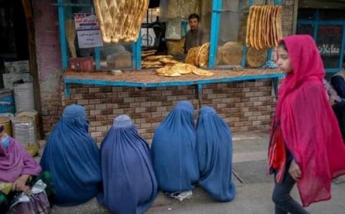 مقام سابق افغان:تکلیف ۳.۵ میلیون دانش‌آموز و معلم  زن افغان نامشخص است