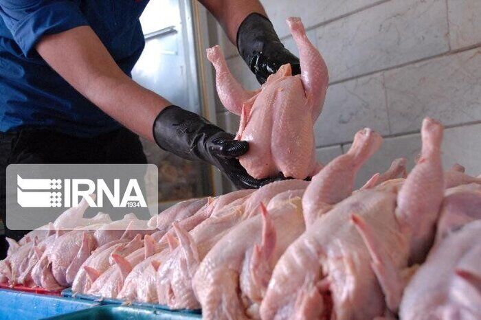 کاهش جوجه‌ریزی علت افزایش قیمت مرغ است