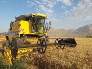 سرمایه صندوق حمایت از بخش کشاورزی کردستان بیش از ۹۰ برابر رشد یافت