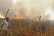 ۳۰ هزار هکتار عرصه‌های مهدیشهر در وضعیت فوق‌بحرانی آتش‌سوزی قرار دارد