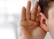 ۱۲.۶۸درصد معلولان زیرپوشش بهزیستی چهارمحال و بختیاری ناشنوا هستند