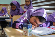 دانش آموزان ابتدایی زنجان شیر رایگان دریافت می‌کنند