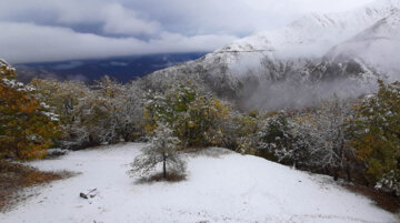 ییلاق‌نشینان ۱۰ شهرستان گلستان برف پاییزی را تجربه کردند