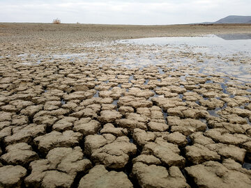 خشکسالی ۸۵ میلیارد تومان به مراتع استان همدان خسارت زد