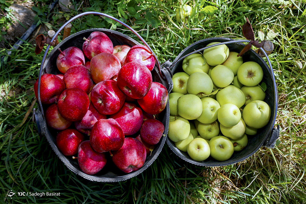 تولید فرآورده‌های سیب درختی در سمیرم رونق می‌گیرد