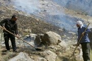 آتش سوزی ارتفاعات کازرون و کهمره سرخی شیراز مهار شد