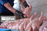 تعیین ضریب ۴۰ درصدی خوداتکایی البرز در تامین گوشت مرغ