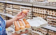 قیمت تخم‌مرغ تا اعلام نرخ رسمی از سوی دولت افزایش نخواهد داشت