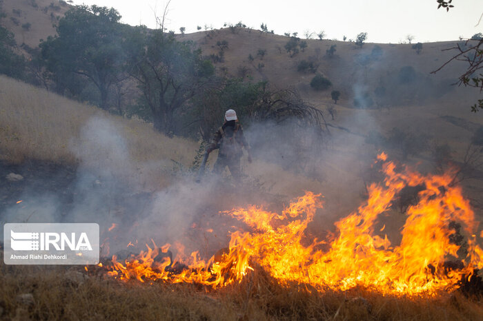 فرماندار پاوه: آتش در ارتفاعات روستای «دشه» مهار شد