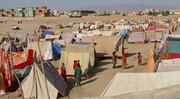 عفو بین الملل: گرسنگی جان ۴ میلیون افغانستانی را تهدید می کند