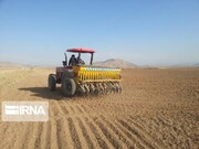 مطالبات کشاورزان مازندران برای ۱۷۰هزار هکتار کشت پاییزه/کشت پنبه به ۷۰۰هکتار افزایش یافت 