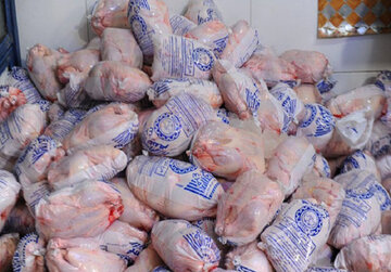 ۳۰۰ تن سهمیه جدید مرغ منجمد به گیلان اختصاص یافت