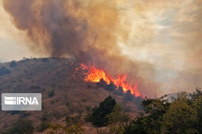 توانمندی‌سازی بومیان راهبرد موثر برای مهار آتش‌ جنگلها