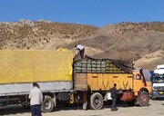 افزایش ۳۰۰ درصدی صادرات و واردات از مرزهای سیستان و بلوچستان