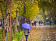 تلخ و شیرین نخستین باران پاییزی شیراز