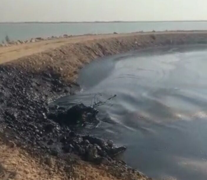 مدیرکل حفاظت محیط زیست خوزستان: آلودگی نفتی در هورالعظیم صحت ندارد