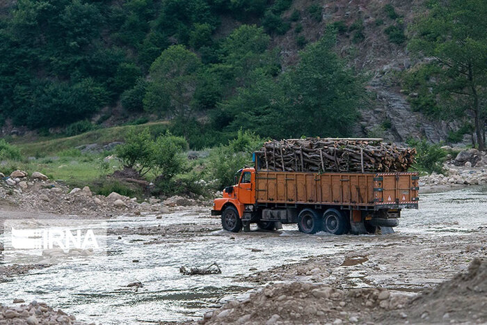 باند بزرگ جنگل‌خواری در مازندران متلاشی شد